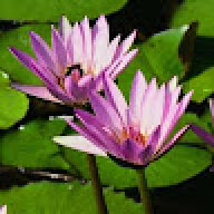 deepakjothi